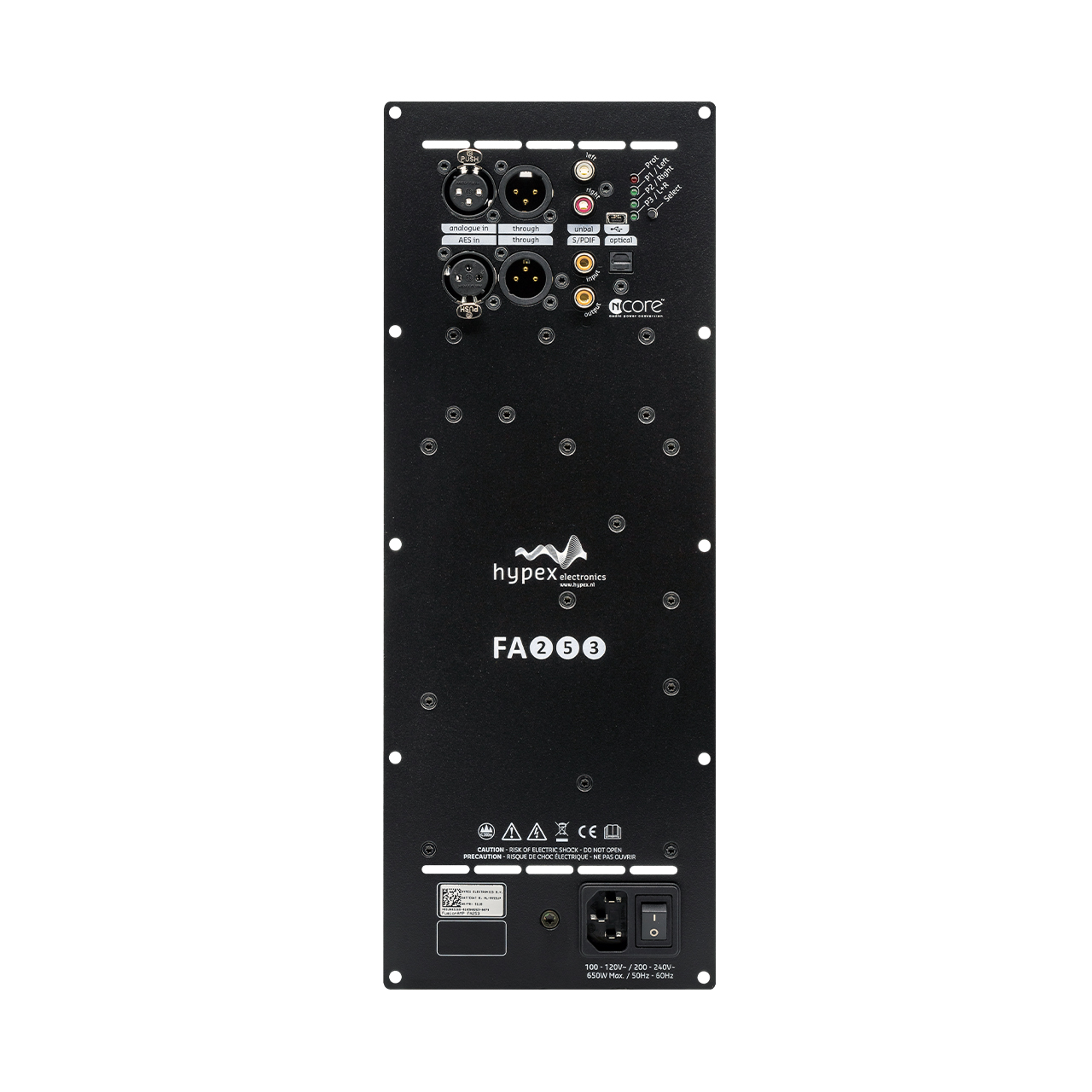 Hypex Fusion Amplifier FA253